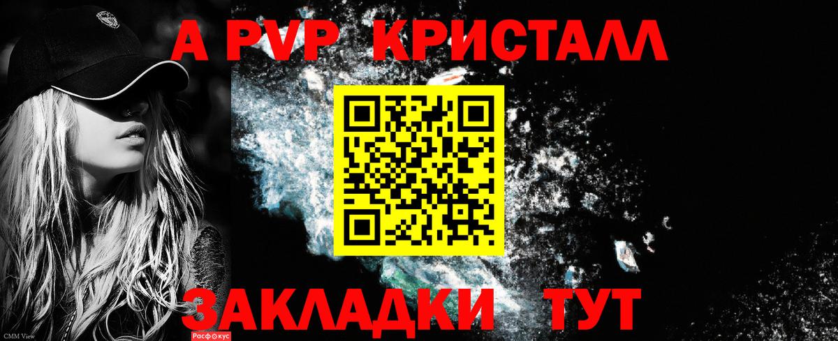 Альфа ПВП СК КРИС Хасавюрт