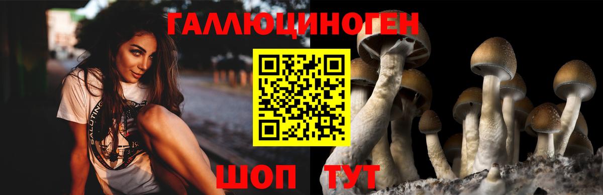 Хасавюрт  Псилоцибиновые грибы GOLDEN TEACHER  Галлюциногенные грибы мицелий  Вход с VPN 